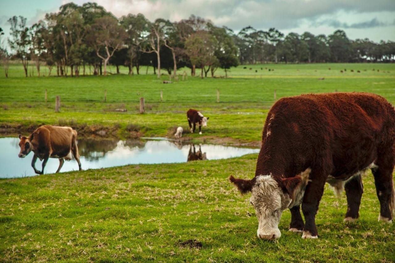 Discovery Parks Margaret River Cowaramup Екстер'єр фото